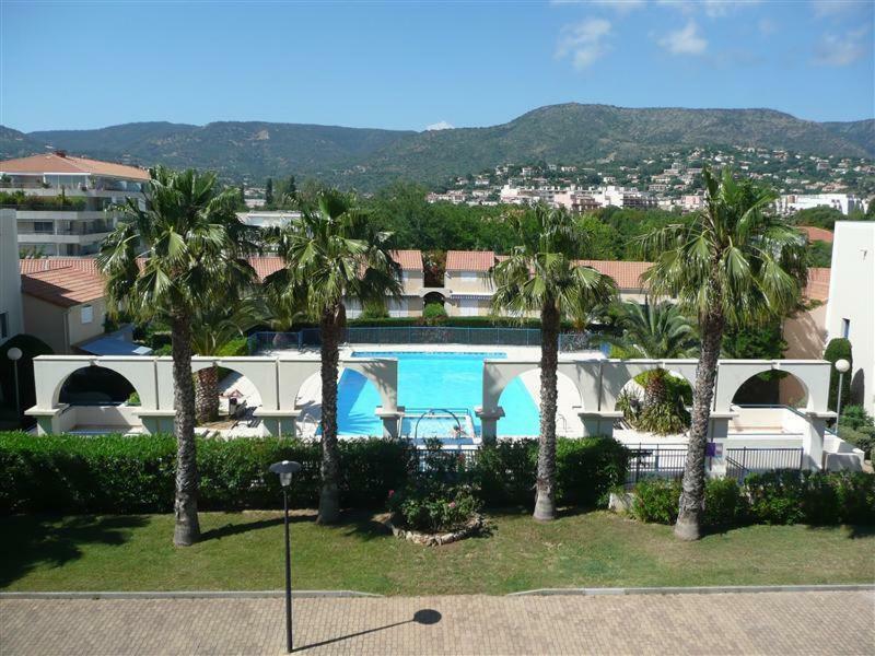 D'azur 2 311 Apartment